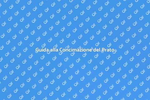 Concimare il Prato: Guida Pratica