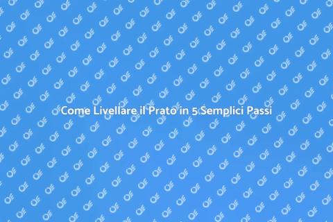 Livellare il Prato per un Giardino Perfetto