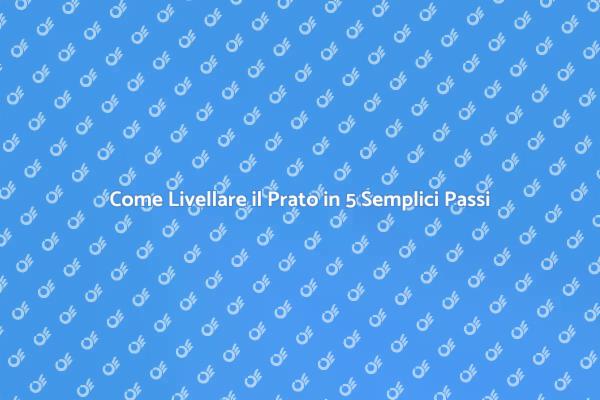 Prato Perfetto: La Guida alla Livellatura