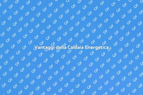 Caldaia a Risparmio Energetico