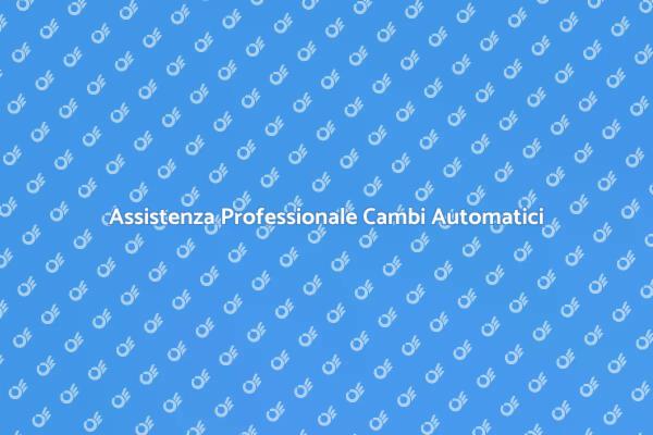 Manutenzione Cambi Automatici Necessaria