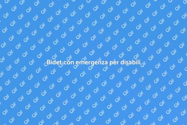 Bidet accessibile per disabili