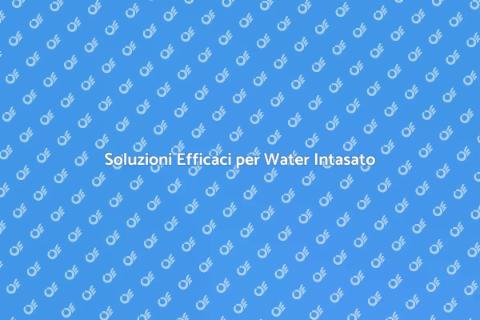 Risolvere il Problema del Water Intasato