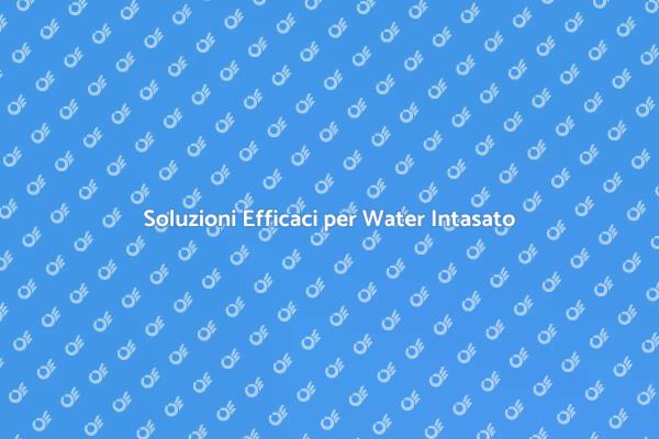 Come Liberarsi di un Water Intasato