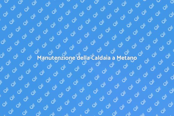 Riparazione e Manutenzione Caldaia
