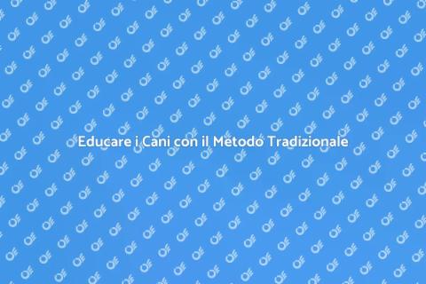 Addestramento Cani: Metodo Tradizionale
