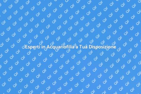 Consulenza Acquariofilia Professionale