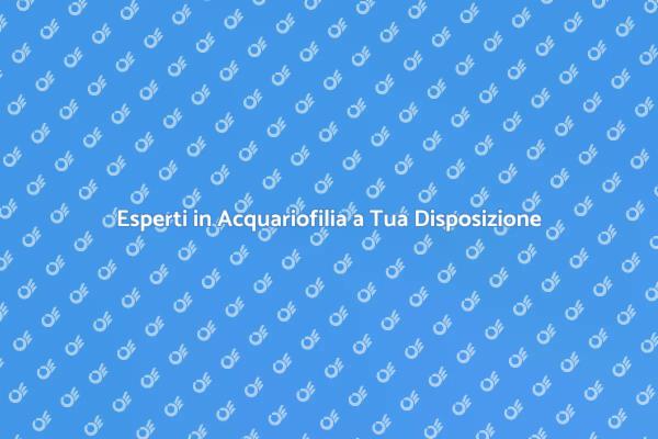 Crea il Tuo Acquario da Sogno