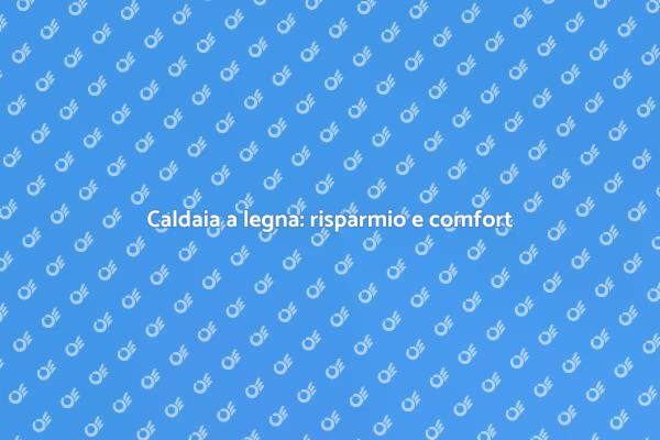 Caldaia a legna: efficienza e sostenibilità