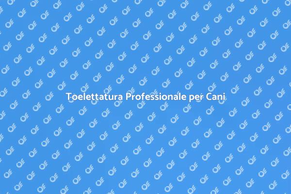 Cura e Toelettatura per il Tuo Cane