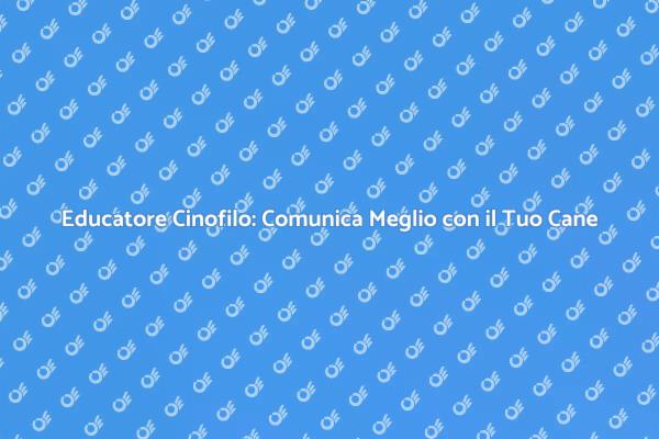 Migliora il Tuo Rapporto con il Cane