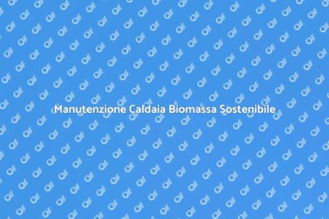 Manutenzione Caldaia Biomassa e Bollino Blu