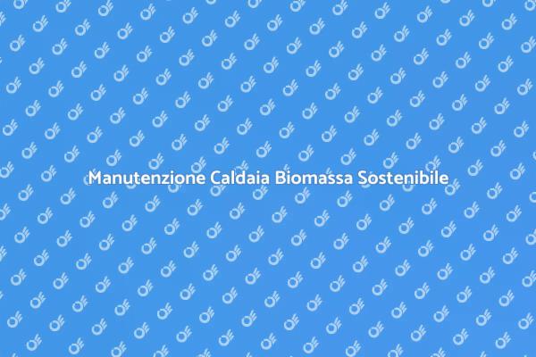 Caldaia Biomassa: Manutenzione Essenziale