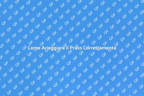 Arieggiamento del Prato per un Giardino Sano