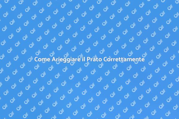 Arieggiare il Prato: Guida Pratica