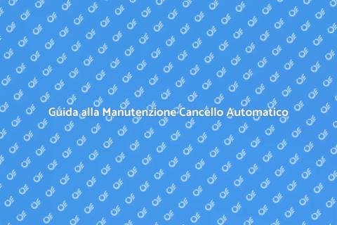 Manutenzione Cancello Automatico
