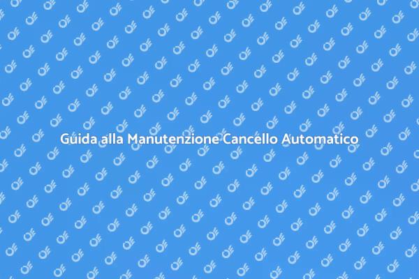 Manutenzione della Guida di un Cancello
