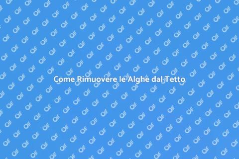 Pulire un Tetto con Alghe: Scopri Come