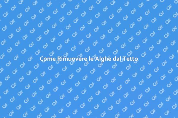 Rimuovi le Alghe dal Tetto Facile!