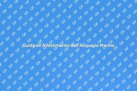 Allestire un Acquario Marino Perfetto