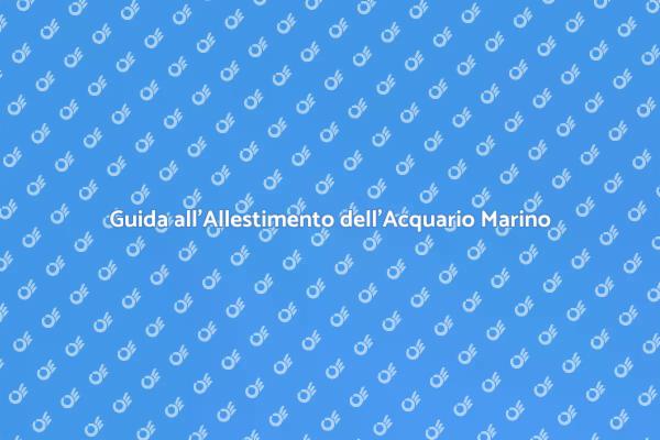 Allestimento di un Acquario Marino Ideale