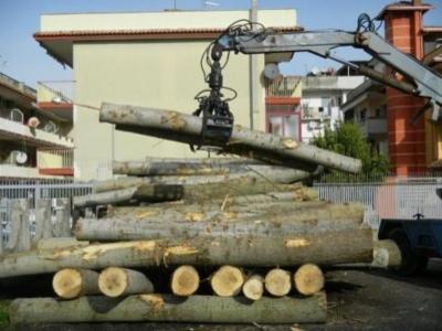 Sud Imballaggi  - Foto 3