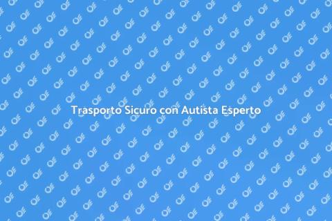 Sicurezza Trasporto con Autista