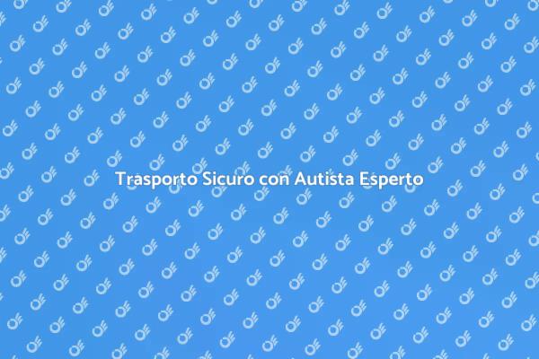 Viaggia Sicuro con Autista Qualificato