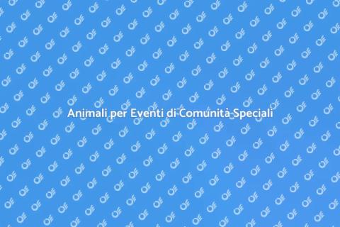Noleggiare Animali per Eventi Unici