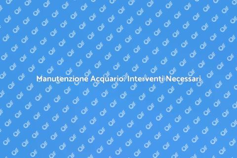 Manutenzione Urgente di un Acquario