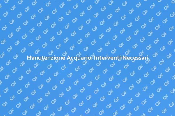 Manutenzione Acquario: Cosa Fare Subito