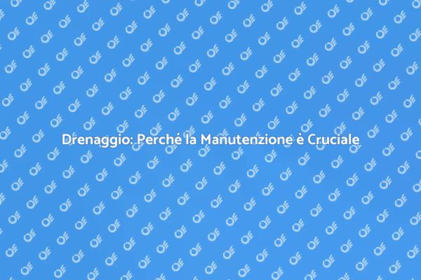 Importanza della Manutenzione Drenaggio