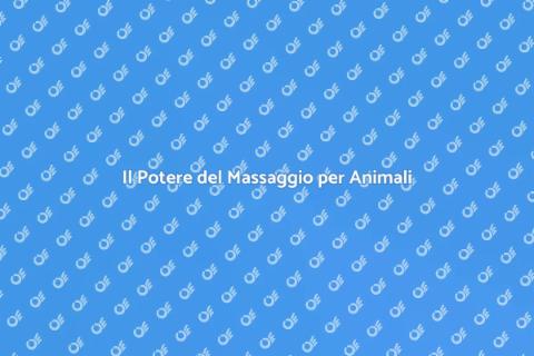 Massaggiatore Esperto per Animali