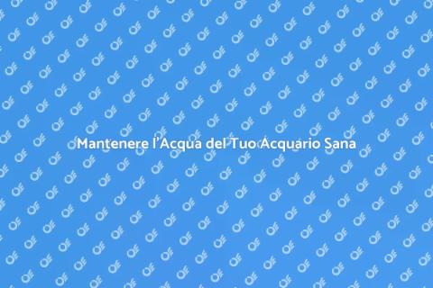 Salinità Perfetta per il Tuo Acquario