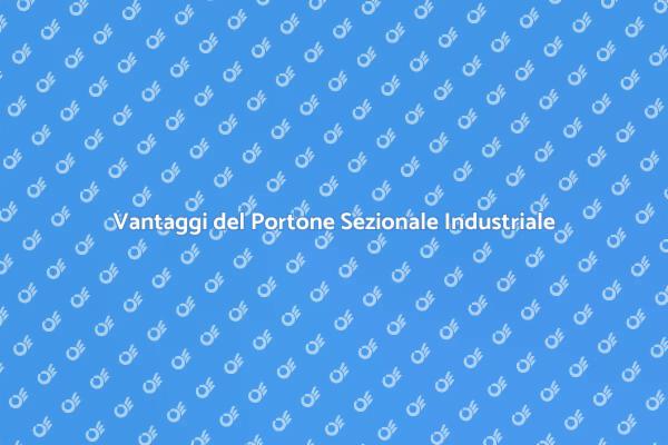Portoni Sezionali: Sicurezza e Efficienza