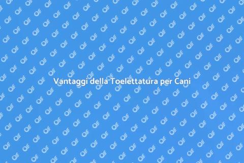 Toelettatore per Cani: Cura e Stile