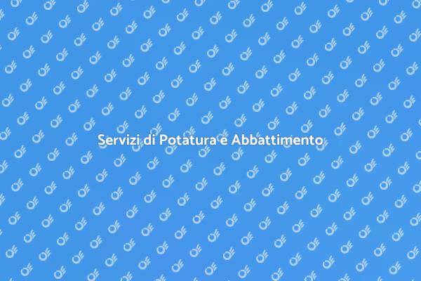 Manutenzione Verde: Potatura e Abbattimento
