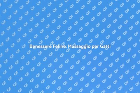 Massaggio Rilassante per Gatti