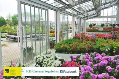 Fratelli Carrara  - Foto 3