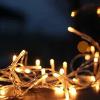 La guida per l'illuminazione da giardino a LED