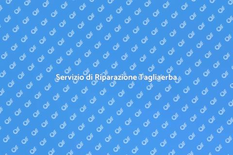 Riparazione Tagliaerba a Domicilio