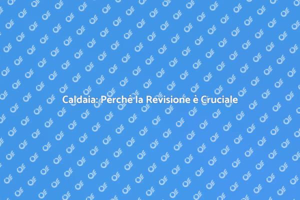 Revisione Caldaia: Fondamentale per la Casa