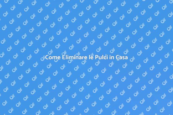Sconfiggi le Pulci: Soluzioni Efficaci