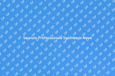 Assistenza Sgombero Neve Professionale