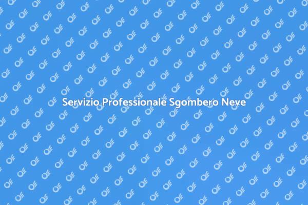 Soluzioni Efficaci per Sgombero Neve