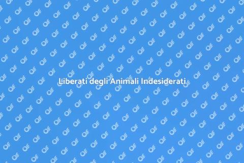Rimuovere Animali Indesiderati in Casa