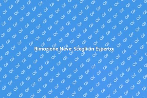 Assumere un Professionista per Neve