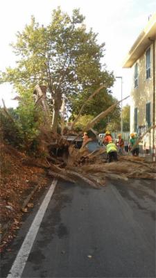Il Giardino  - Foto 3