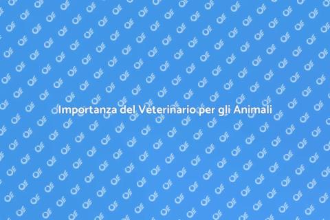 Veterinario: Salute per i Nostri Animali
