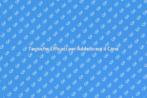Addestrare un Cane in Modo Efficace
